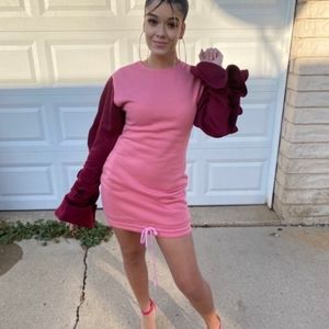Burgundy and Pink Ruched Sleeve Sweater Dress